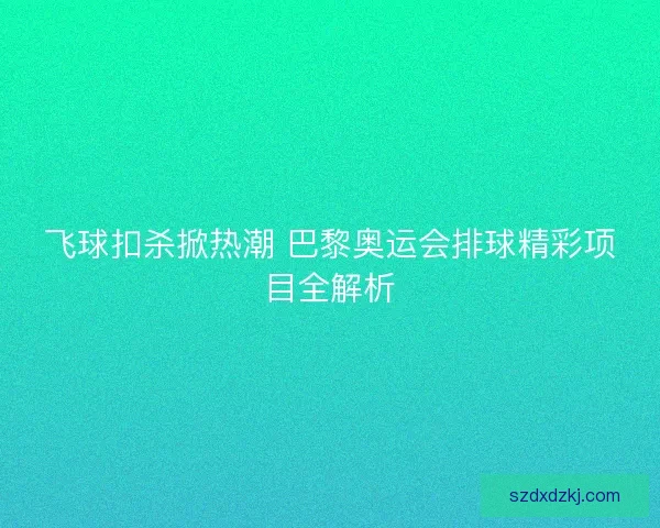 飞球扣杀掀热潮 巴黎奥运会排球精彩项目全解析